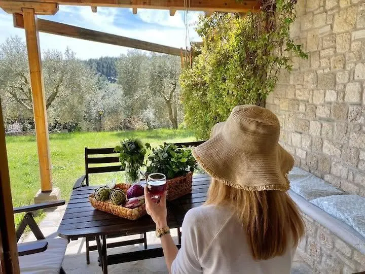 Sani Olive Grove Gem - The Ultimate Sunny Getaway Villa Elani 0*,  Greece